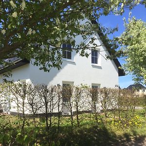 Apartament z 1 sypialnią
